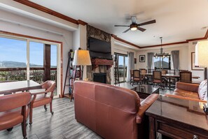 Télévision, cheminée, jeux vidéo, lecteur de DVD