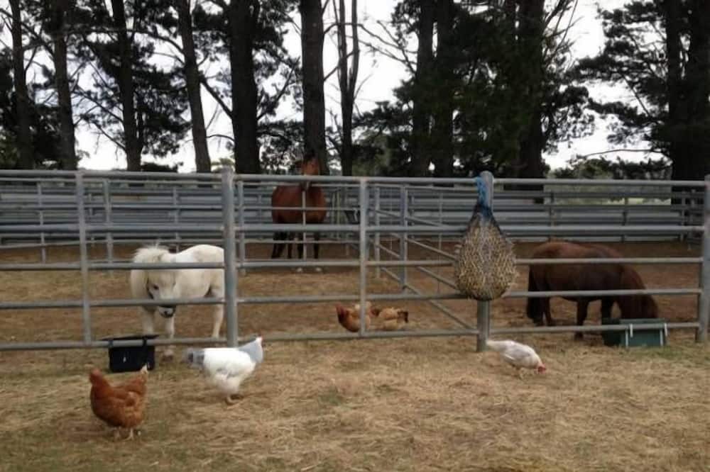 Top 10 Ranches To Stay In Australia - Updated 2024 | Trip101