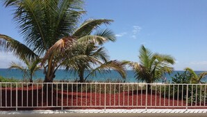 A paved walkway with a metal fence, palm trees, and a view of the ocean. - Oceanfront!!! Clean and Cozy, Free Wi-Fi & calls to US and Canada (Lauderdale-by-the-Sea)