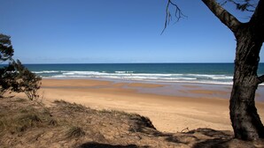A beach with clear skies, sandy shore, and a tree in the foreground.