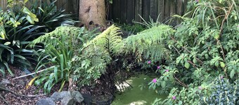 Escape to Riverhead!