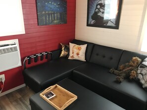 TV, DVD player, books, video library