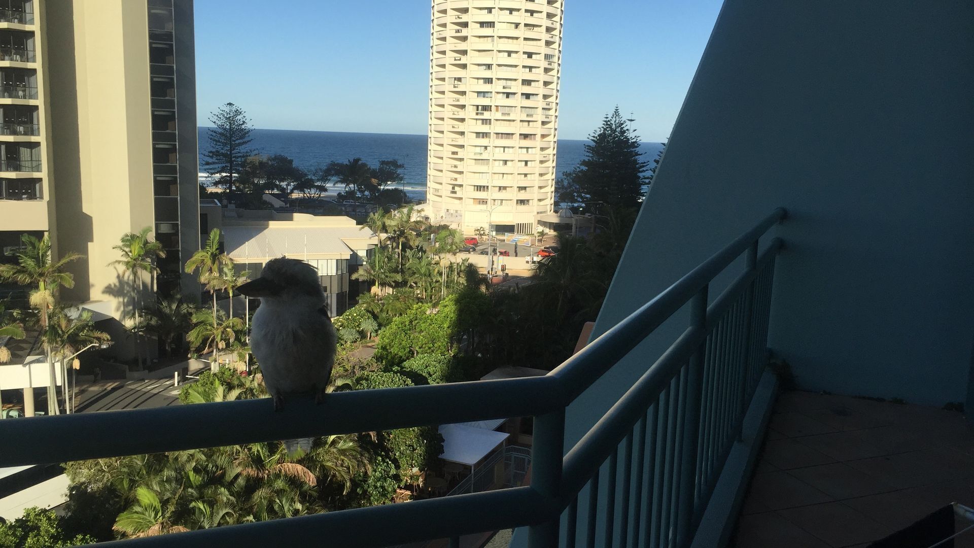 Crown Towers Resort 1 bedroom apartment — image 5