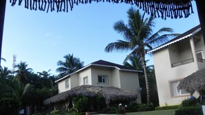 Une maison avec une piscine, entourée de palmiers et dotée d’une structure au toit de chaume.
