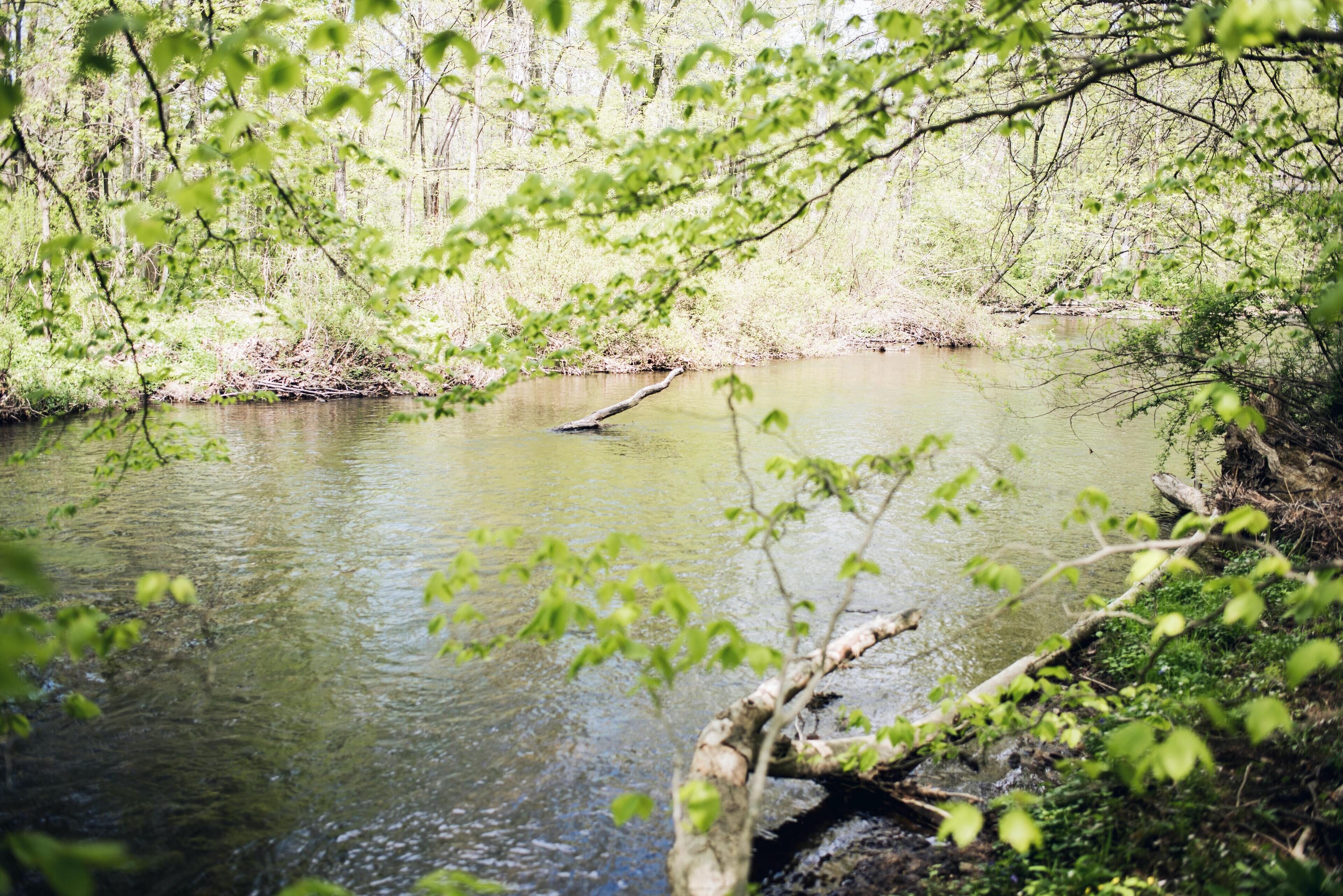 Tentrr Signature Site - Creekside Woods Getaway