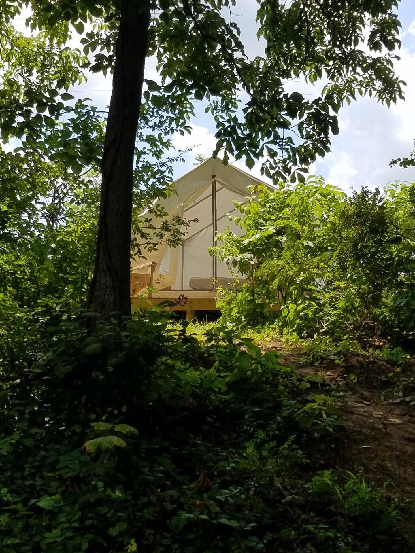 Tentrr Signature Site - Creekside Woods Getaway