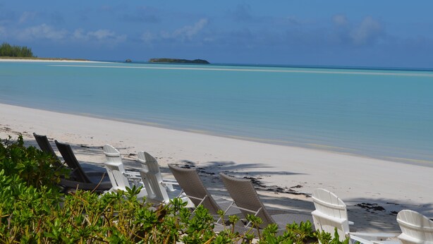 A beach with white lounge chairs and a clear view of the ocean. - Beachfront large one bedroom studio, adjoining studio can be added to make 2/2. (Spanish Wells)