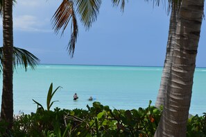 Plage, chaises longues, serviettes de plage