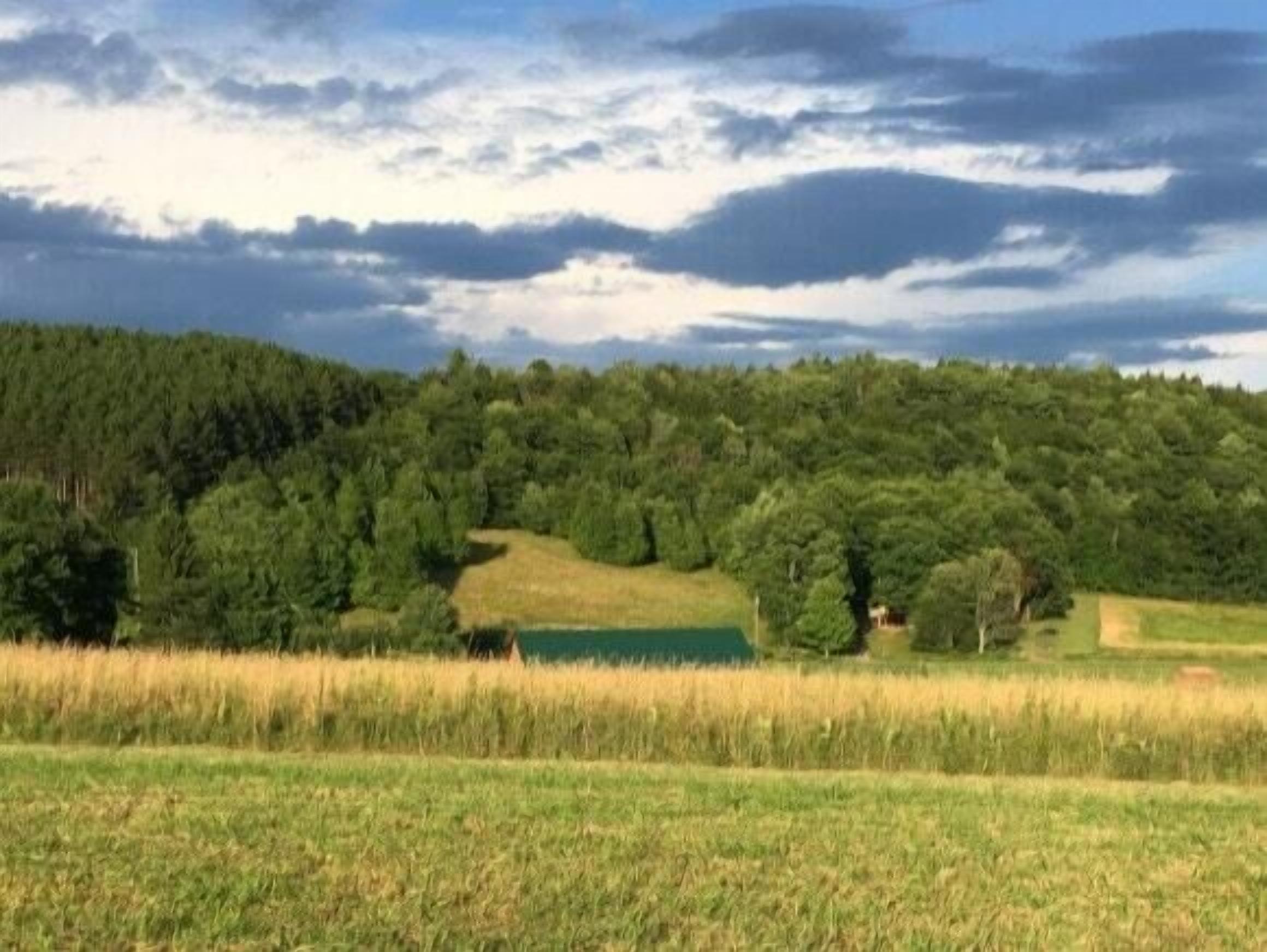 Tentrr Signature Site - Sean Billy Pond Hideaway