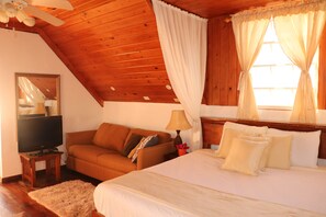 1 slaapkamer, een bureau, een strijkplank/strijkijzer, gratis wifi