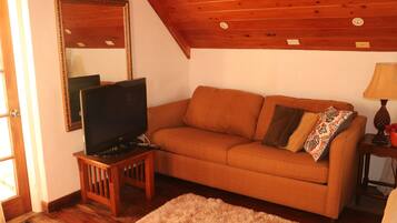 TV, DVD player, books, video library