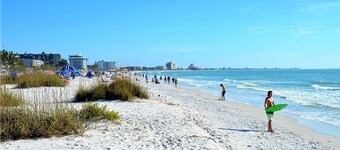 755 40th Ave Pet Friendly Luxury St Petersburg Home