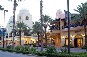 Exterior - 755 40th Ave Pet Friendly Luxury St Petersburg Home (St Petersburg)