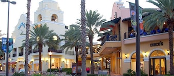 755 40th Ave Pet Friendly Luxury St Petersburg Home