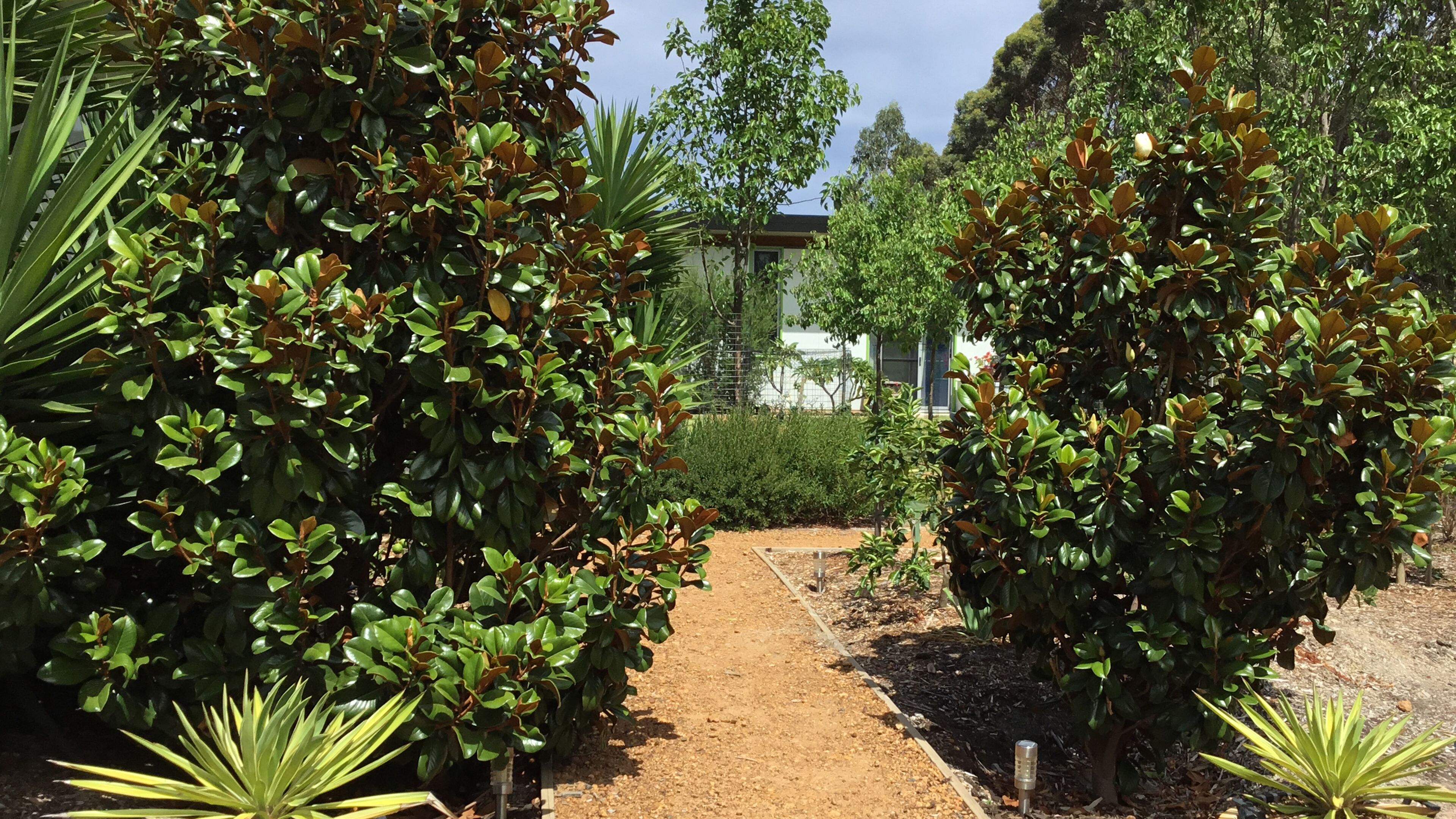 Bed + Bauhaus Boutique Guest Suites — image 24