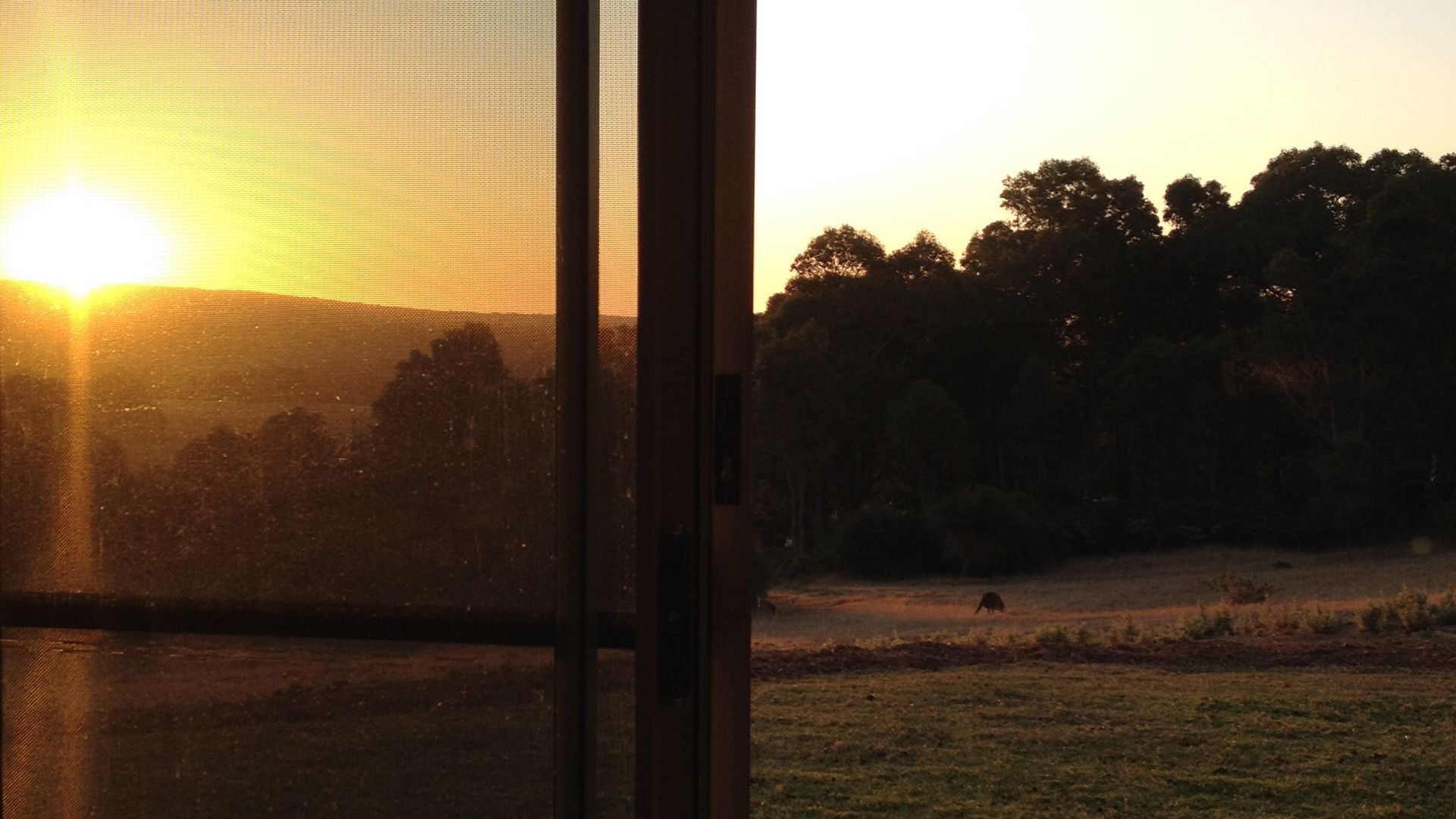 Bed + Bauhaus Boutique Guest Suites — image 3