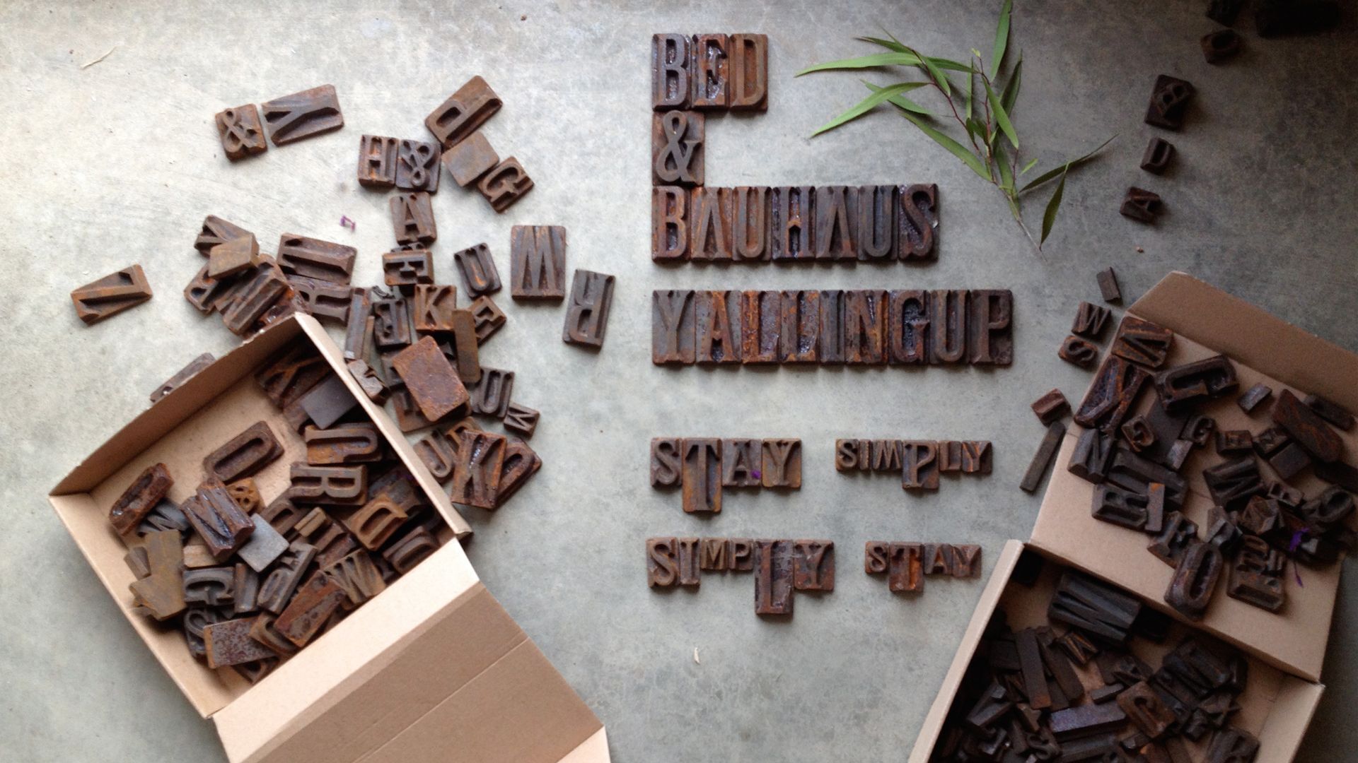 Bed + Bauhaus Boutique Guest Suites — image 30