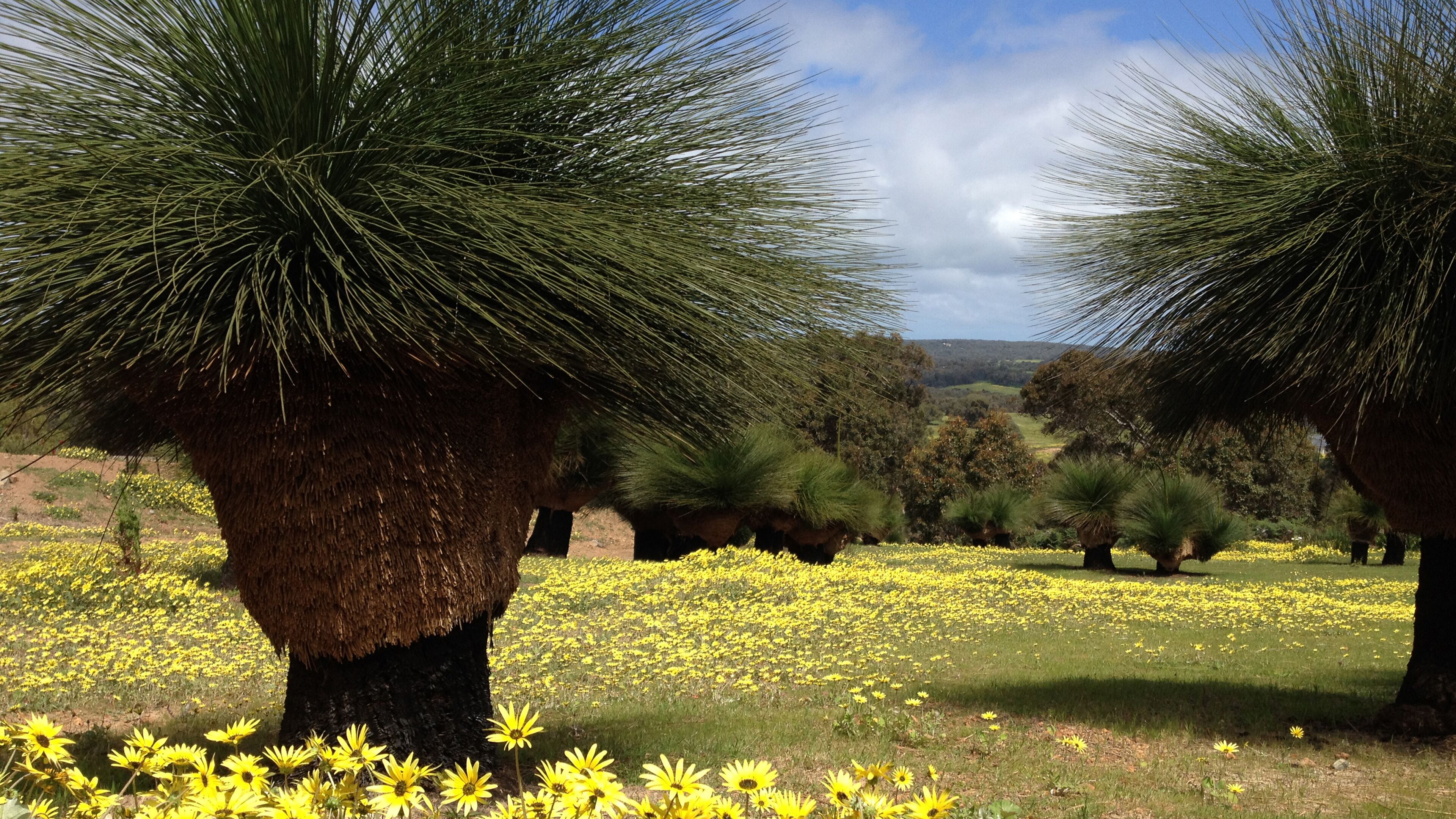 Bed + Bauhaus Boutique Guest Suites — image 29