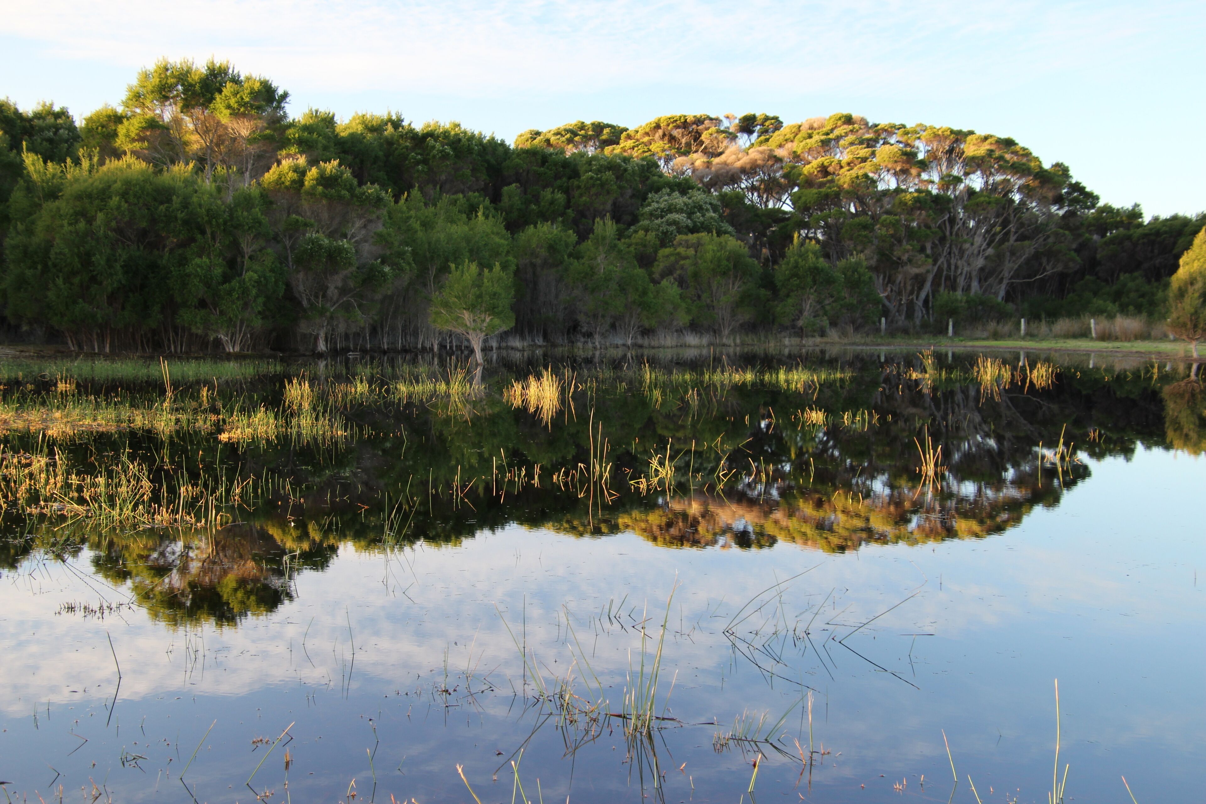 Sapphire Chalets #1 Augusta — image 25