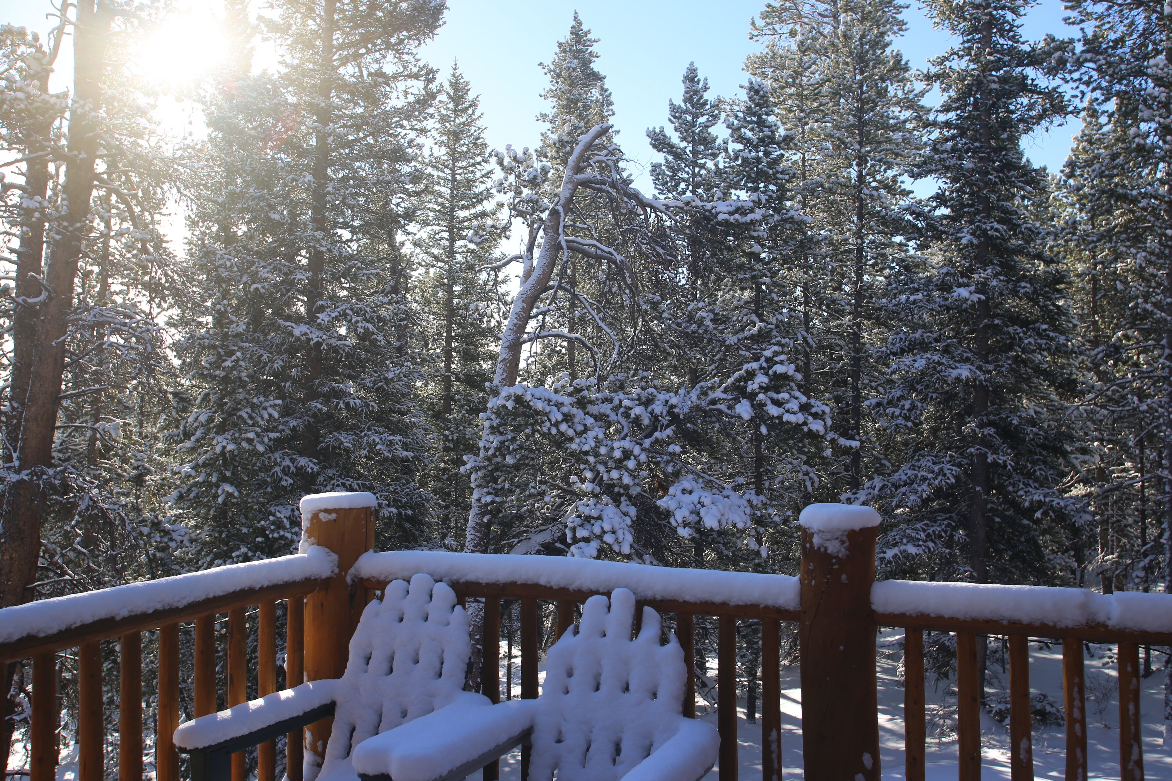 Peaceful Mountain Retreat with AMAZING Views!