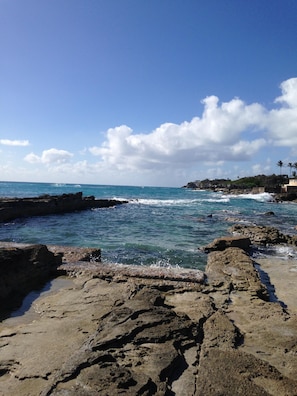 Sun-loungers, beach towels - Cozy Studio Apt Devonshire, near Botanical Gardens and Close to town (Devonshire)