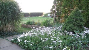 A garden with a variety of flowers and plants, a paved walkway, and a neatly trimmed hedge.