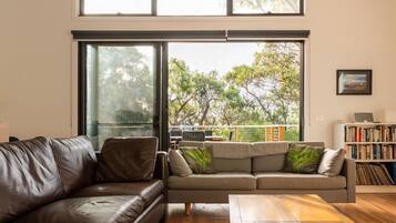 Televisión, chimenea y reproductor de DVD