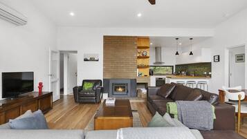 Televisión, chimenea y reproductor de DVD