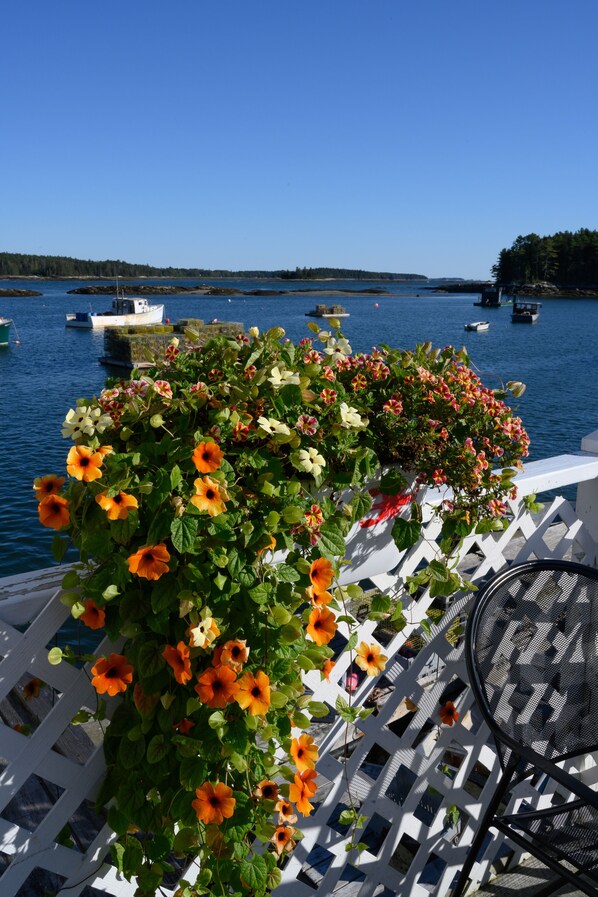 Property grounds - Long View Farm on Broad Bay (Waldoboro)