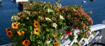 Extraordinario granero convertido en Broad Bay