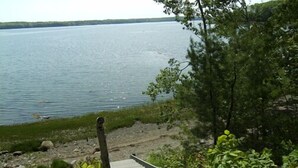 A staircase leading down to a body of water, surrounded by greenery. - Long View Farm on Broad Bay (Waldoboro)