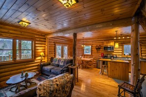 TV, lareira, DVD player