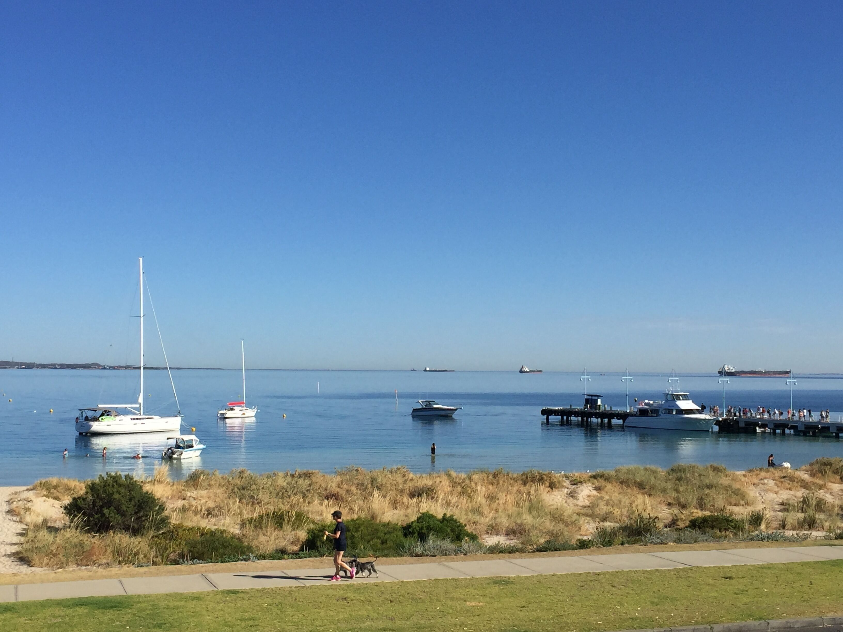 SEAGULL Condo/Apartment - Absolute Beachfront Holiday Retreat — image 26