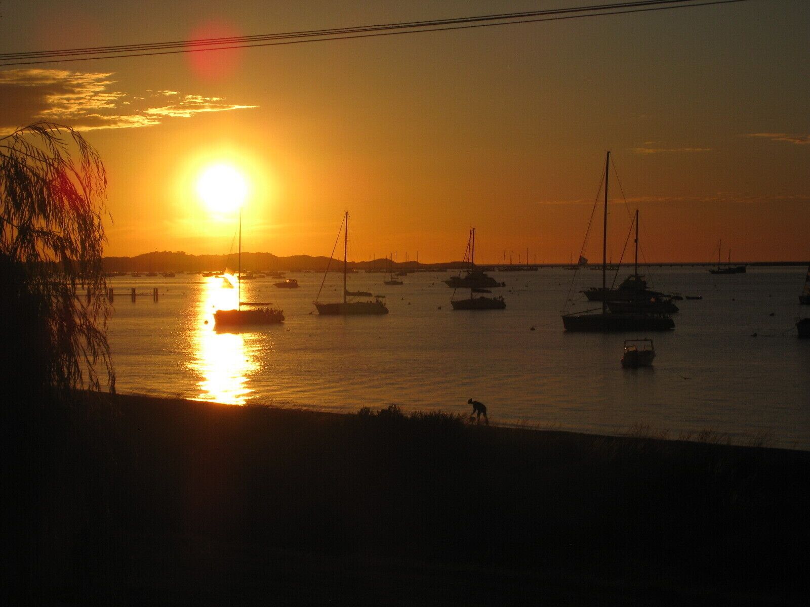 SEAGULL Condo/Apartment - Absolute Beachfront Holiday Retreat — image 21