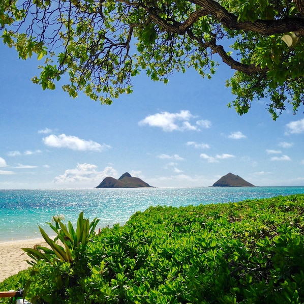 A beach with clear turquoise water, two small islands in the distance, and lush green foliage in the foreground.