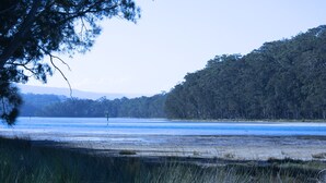 Un paysage naturel comprenant une étendue d’eau, une forêt dense et un ciel dégagé.