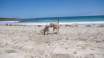 Beach nearby, sun-loungers