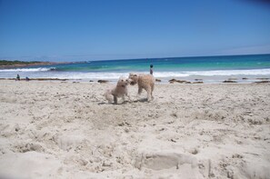 Beach nearby, sun-loungers