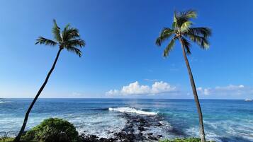 Beach nearby, sun loungers, beach towels