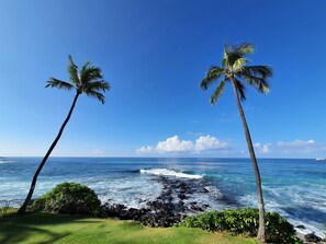 A beach with two palm trees, ocean waves, and a clear sky.