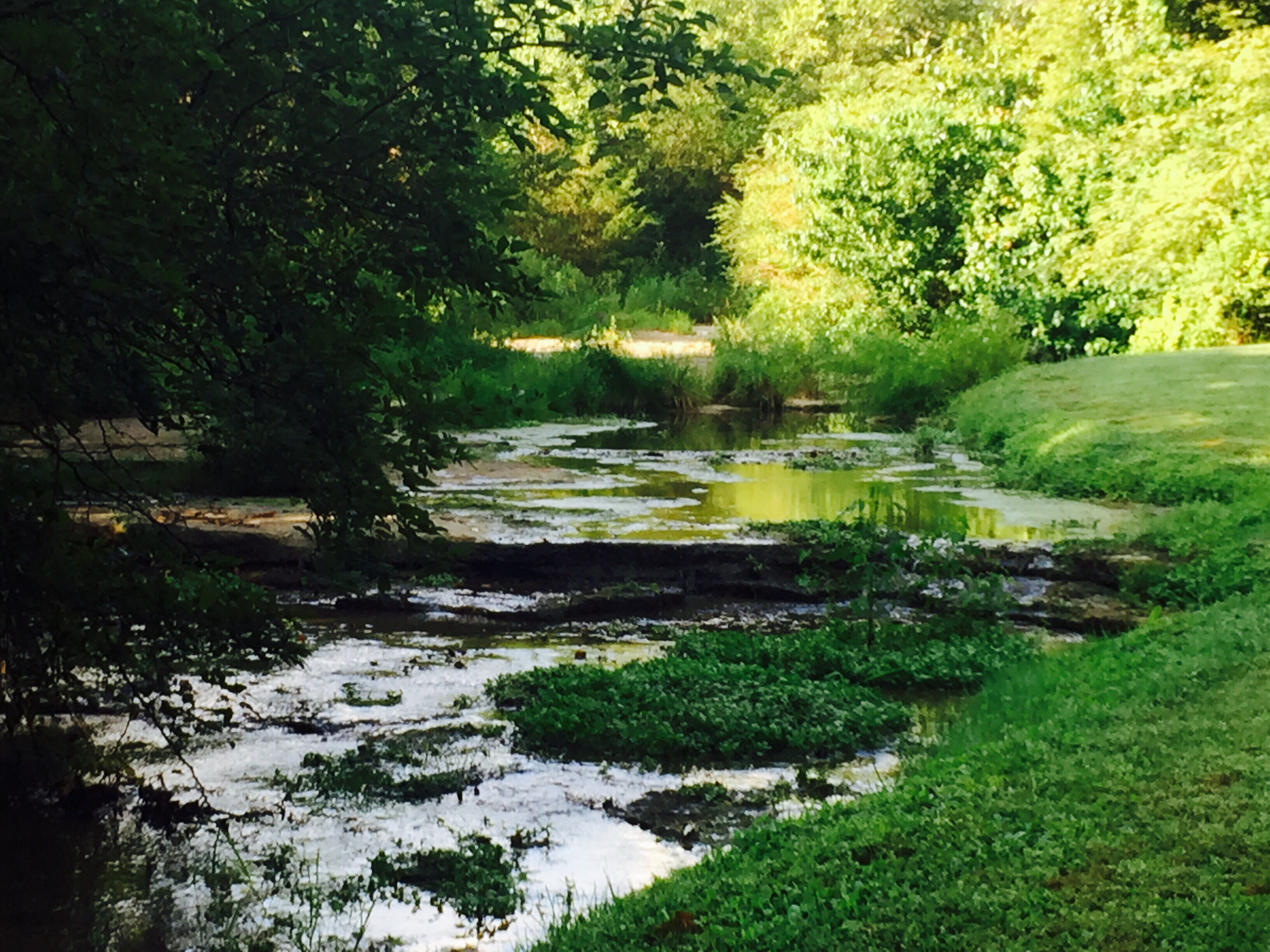 The Milk Barn at Artesian Springs, Nolensville, TN 
