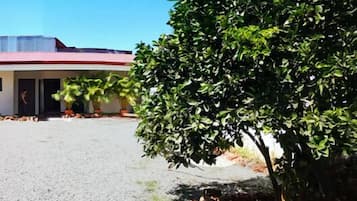 32-inch Smart TV with cable channels, TV