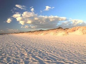 Beach nearby, beach towels - Northshore apartment, separate entry, stroll to beach, quiet location. (Kallaroo)