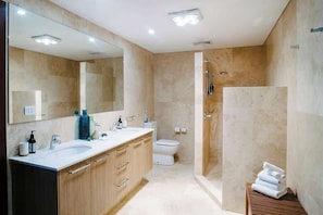 Shower, hair dryer
