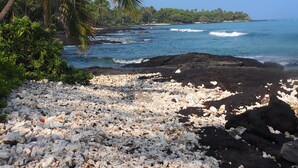 A beach with white pebbles, a palm tree, and ocean waves. - 'My Favorite Place on Earth' (Kamuela)