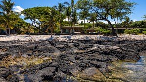 A beach with rocky terrain, palm trees, and a building with a red roof. - 'My Favorite Place on Earth' (Kamuela)
