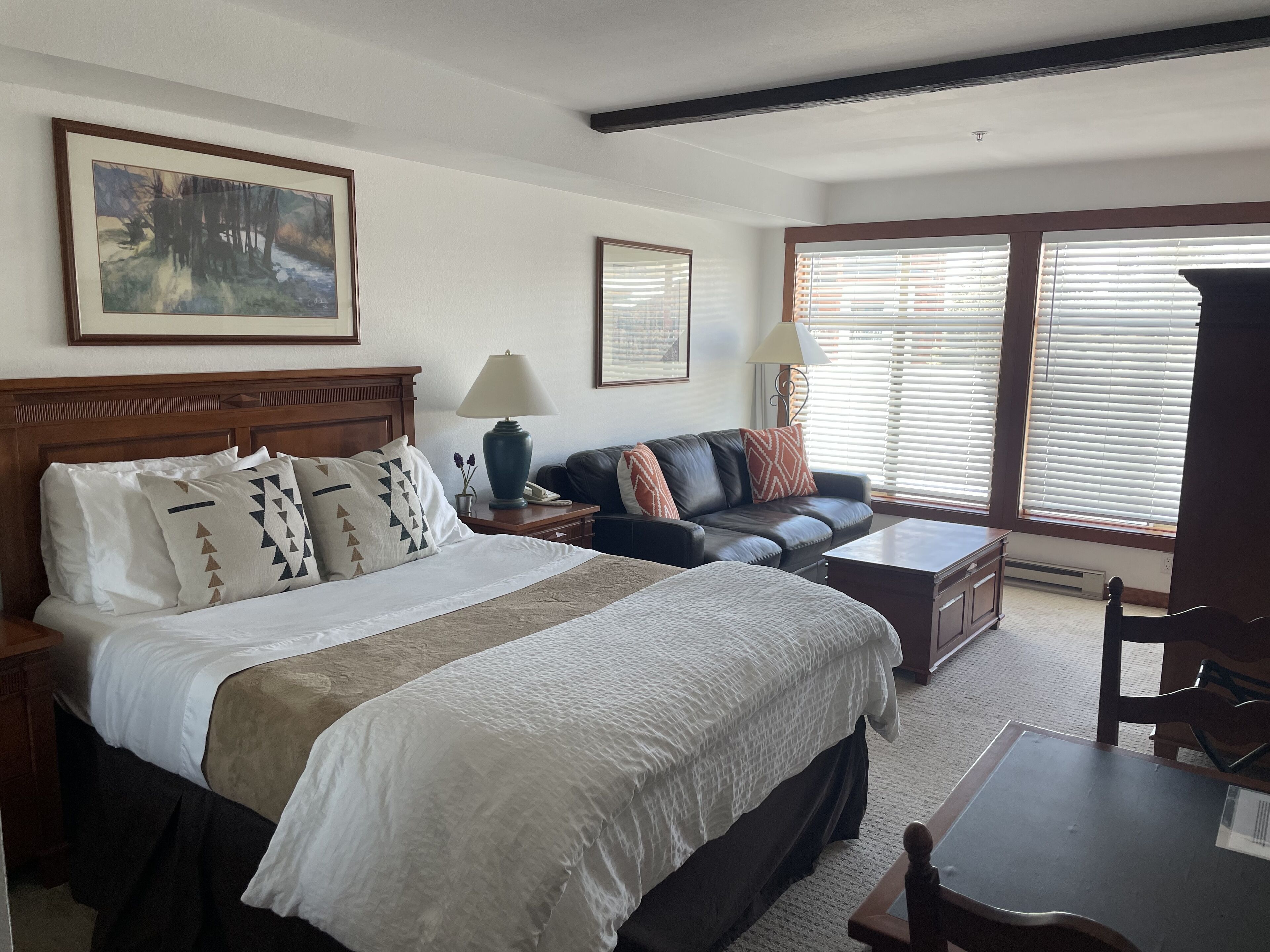 SKI IN/OUT Studio Condo with stunning Village & Slope views 