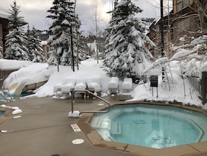 A pool area with snow-covered trees and a hot tub.