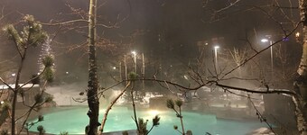 SKI IN/OUT Studio Condo with stunning Village & Slope views 