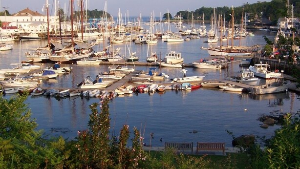 Un puerto deportivo con varias embarcaciones amarradas, rodeado de vegetación y edificios al fondo.